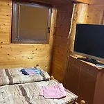 Tree House