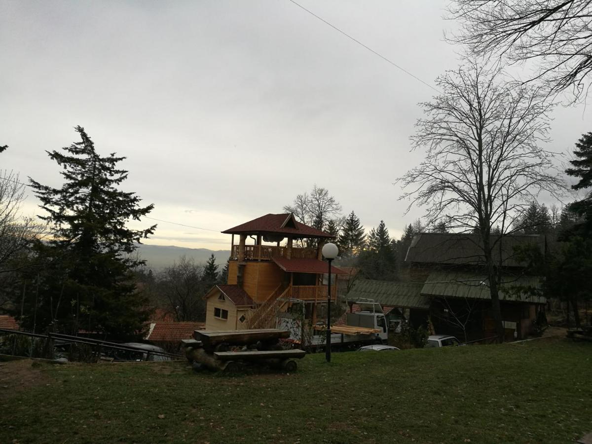 Tree House Han *