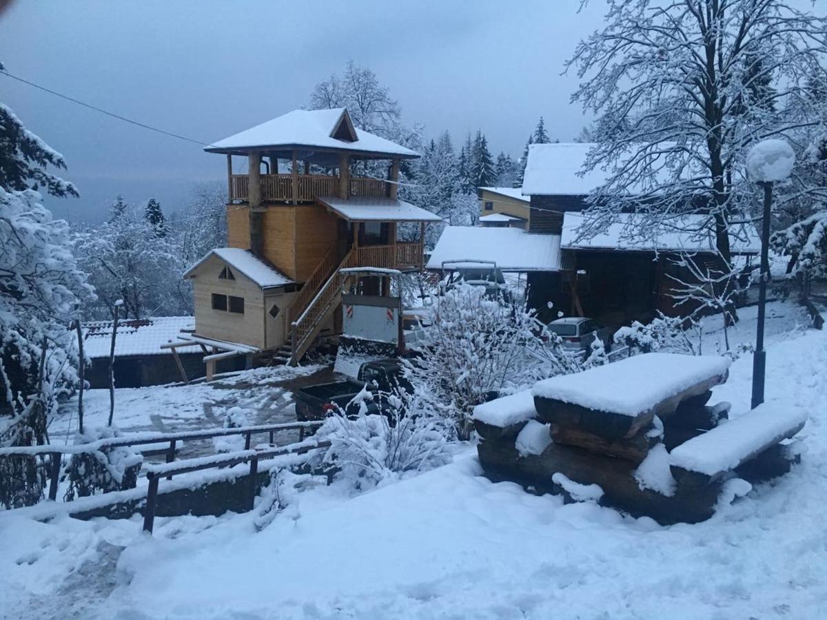 Han Tree House